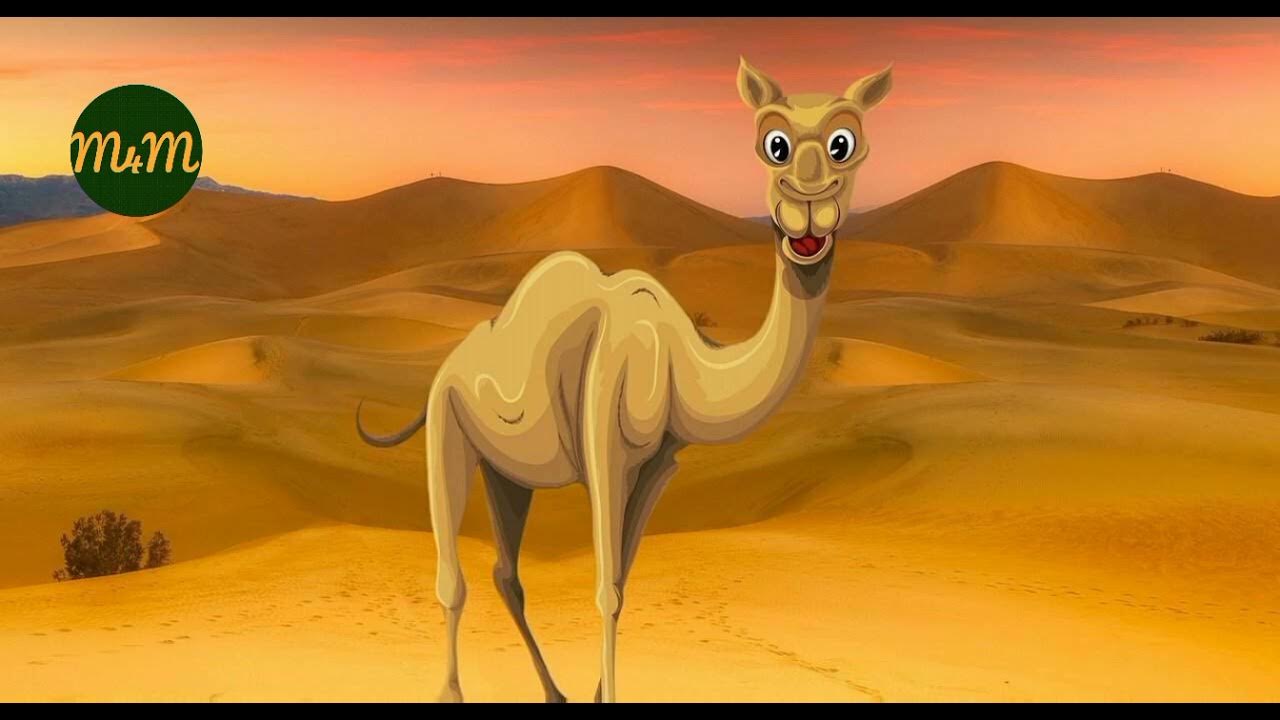 животное король пустыни