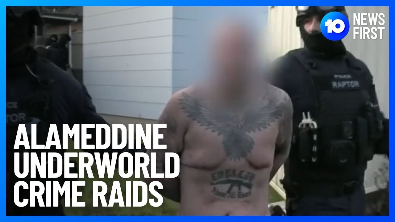 Alameddine Sydney Crime Family Uprooted | 10 News First