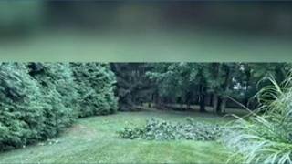 Storm damage in Broadview Heights