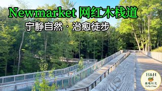 Newmarket 网红木栈道 | 超治愈自然徒步打卡—Dave Kerwin Trail | 多伦多周边