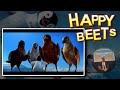 thumbnail img16x9