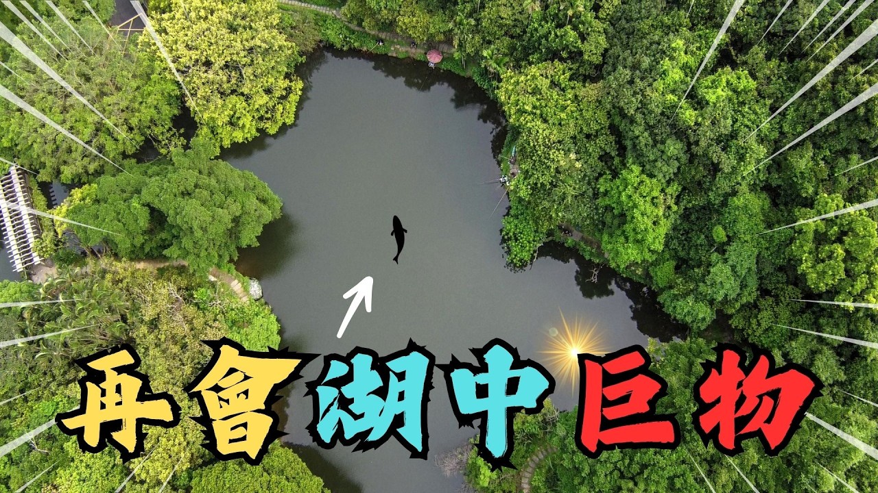 四年後！再會「湖中巨物」！結果出乎預料外? 這條魚真的要把我拖下水了！｜tenkara釣鱸魚技巧分享｜Maxcatch｜YONGYUE｜bass｜#fishing #flyfishing #釣り