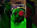 Lol #happy #sad #animalcompany #animalcompanyvr #fypシ #viralshorts #viral #funny #happy #sad #rare