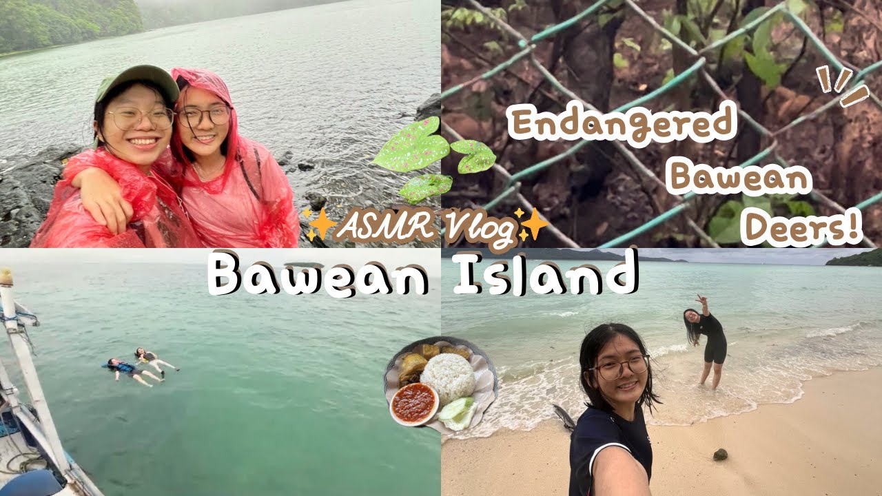 Bawean Island ASMR Vlog 🌿 Rain, Sea & Nature Sounds (Dec 2024 Edition)