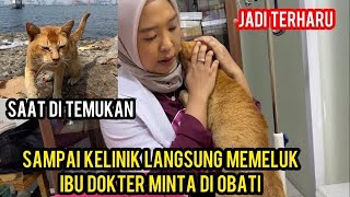 KUCING DI BUANG DI TENGAH  LAUT PART 2 AKHIRNYA SAMPAI DOKTER..!