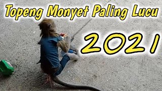 Topeng monyet paling lucu 2021 | MONKEY MASK CIRCUS