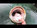 18 POUND BASS  in CLEAR WATER!