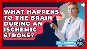 What Happens to the Brain During an Ischemic Stroke? | Stroke Support Channel