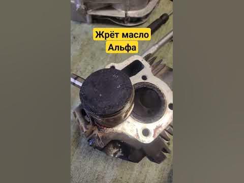 Почему мопед Альфа жрёт масло - YouTube