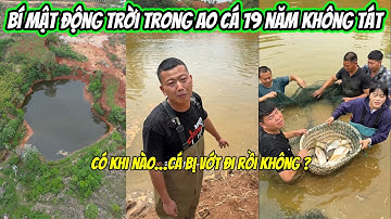 Vlog 4 : Bí mật động trời trong ao cá 19 năm không tát  | Tiểu Phi Vlog