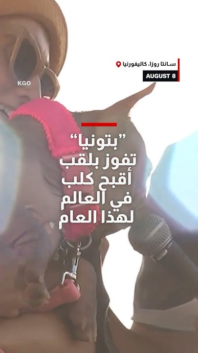        ..   --
 - نشر قبل 5 دقيقة