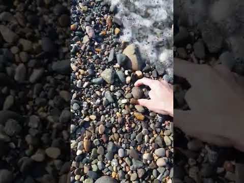 weird stone found