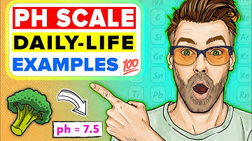 What is the PH Scale? Importance of PH in Everyday Life | Acids, Bases and Alkalis