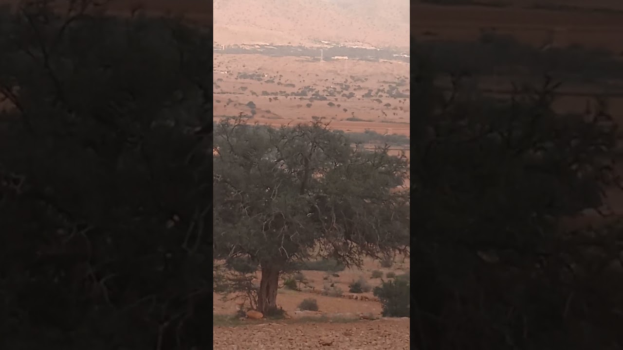 جبال اولاد.جرار تزنيت