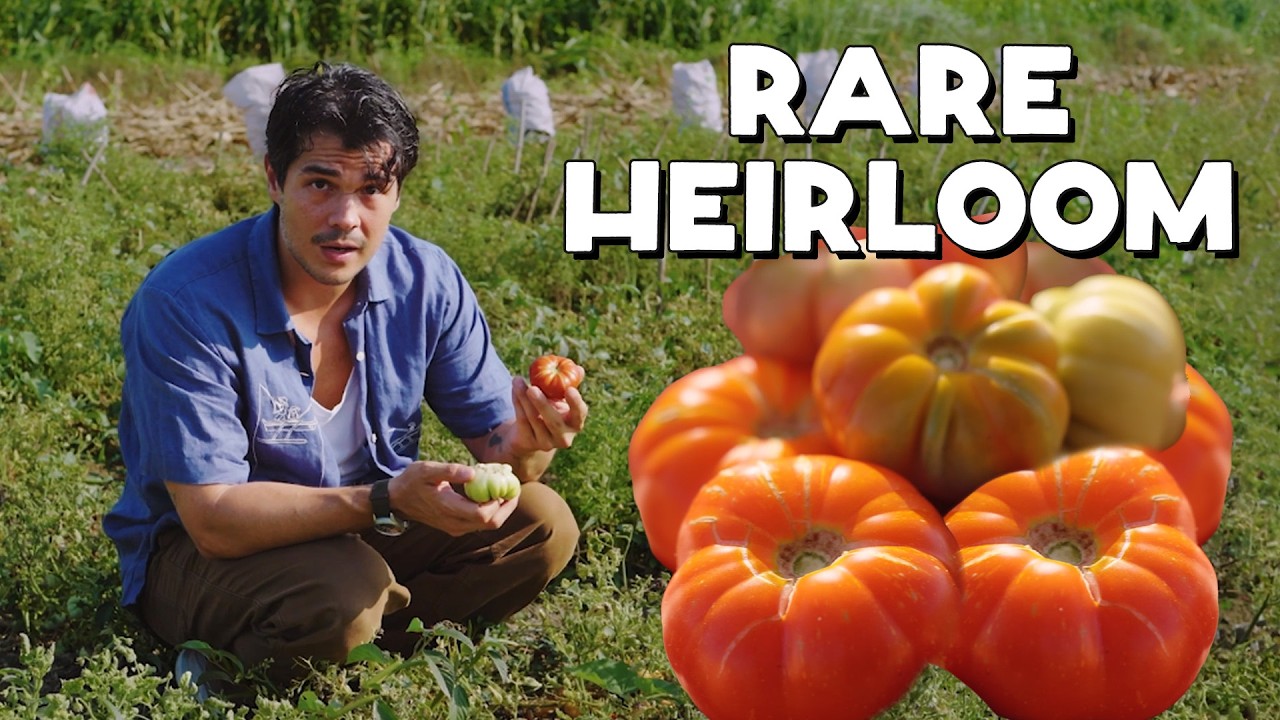 Latest Title & Thumbnail