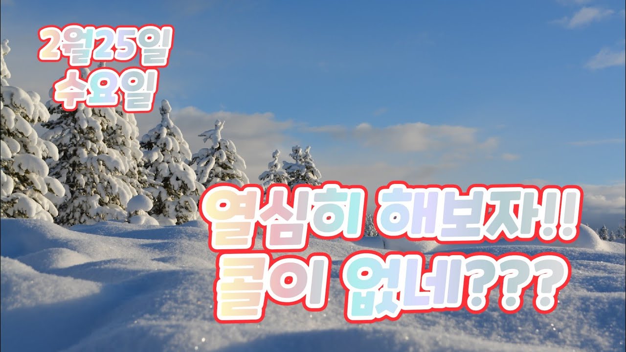 2월25일 열심히 하려고 해도 콜이 없네요??