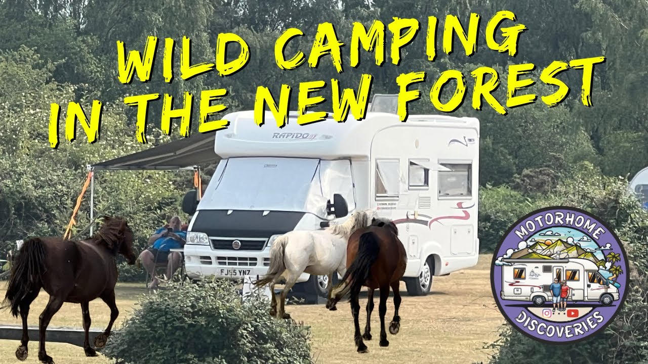 WILD CAMPING in the NEW FOREST !!!! #motorhome #vanlife  #travelvlog #moderndaybreakfastclub