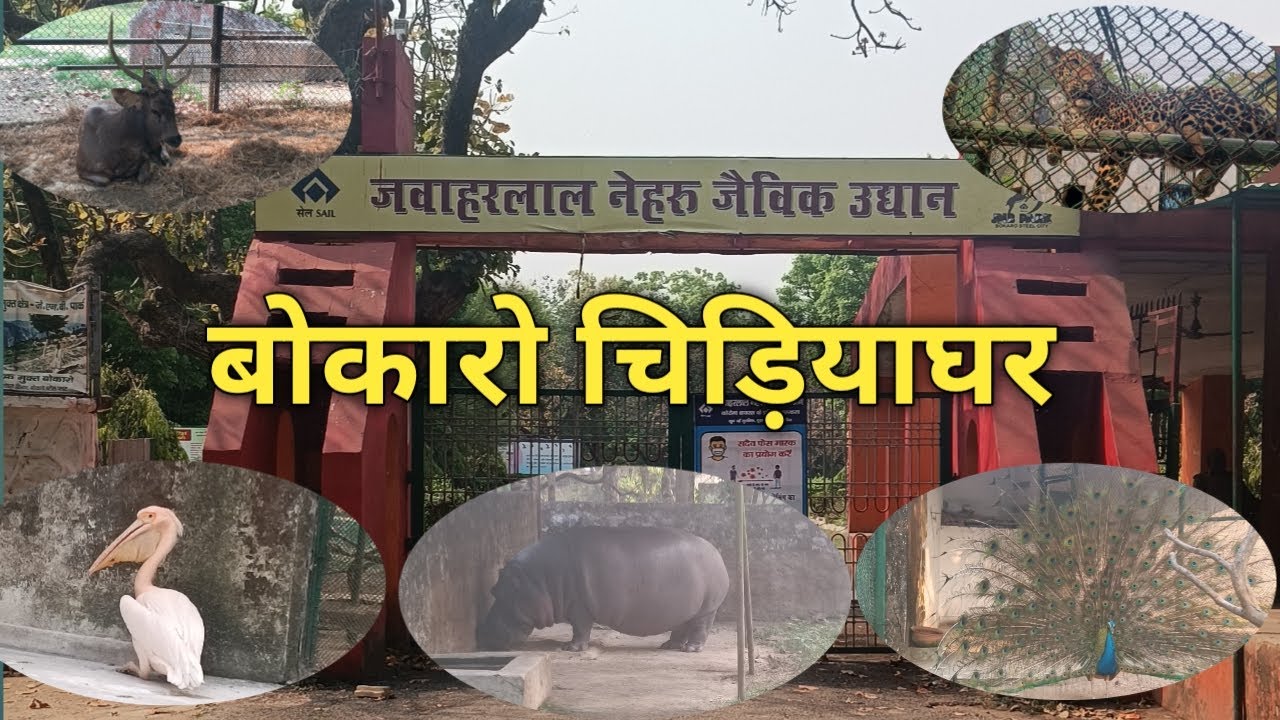 Bokaro zoo l jawaharlal nehru biological park bokaro steel city jharkhand l बोकारो चिड़ियाघर झारखंड