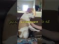 خودتو نمیتونی قلقلک بدی اینم دلیلش