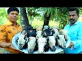 GOAT HEAD RECIPE | Goat Head Curry | Cooking Skill Village Food