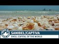 Sanibel Island and Captiva Island, Florida - Things to Do and See When You Visit