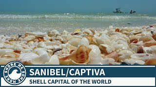 Sanibel Island and Captiva Island, Florida  Things to Do and See When You Visit