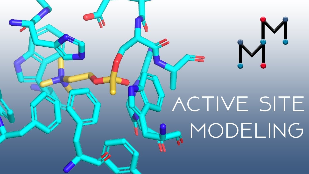 Action site. Active site. PYMOL. Phe PYMOL. Active Modeling.