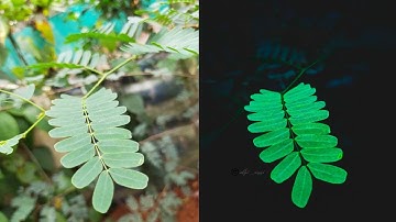 Vintage Photo Editing Tutorial Snapseed / Dark Moody Fade Black Background Tutorial / Athi unni /💓📱💓