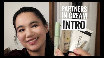 Partners in Cream Project Pan 2024: Intro!