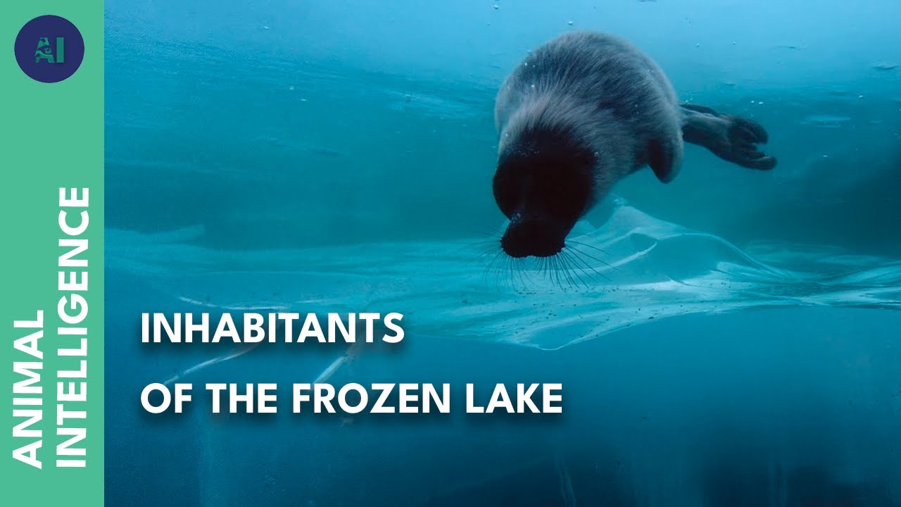 A frozen lake thriving with life | AI