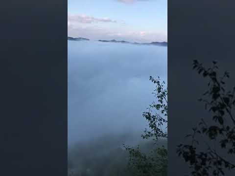 Видео Квардал
