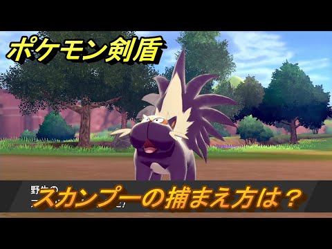 ソードシールド スカンプーの種族値 わざ 特性など能力と入手方法 ポケモン剣盾 攻略大百科