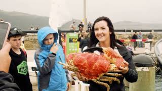 Apollo Bay Seafood Festival 2023