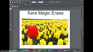 Xara Magic Erase