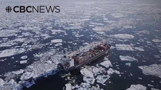 Arctic shipping companies call on Ottawa to strengthen maritime security and infrastructure