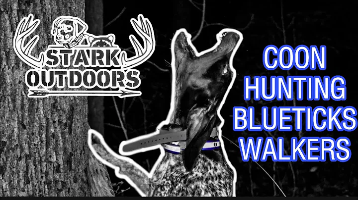 Video 1844301: coon hunting