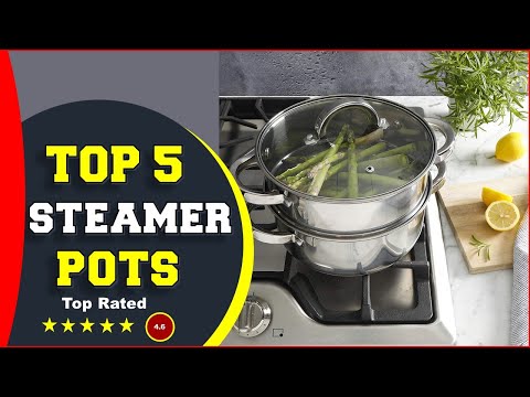 Best Tamale Steamer Pot 2023