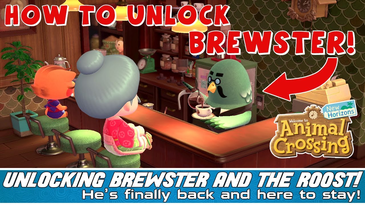 HE’S BACK! Best Barista BREWSTER in ACNH! How to get Brewster in Animal