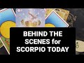 Scorpio Rises UP Something Is Clearing The Way For You To NOW Rise Up Scorpio