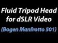 Fluid Video Tripod Head • DSLR Training Video Lesson