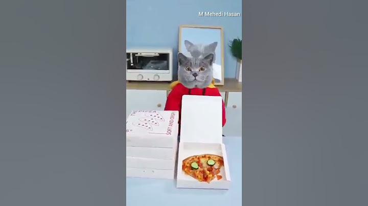 🤗Fresh Pizza Brings Joy To Homeless People!🍕🥒 | Don’t Waste Food #funnycat #catmemes #trending