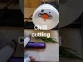 chilli cutting machine #experiment #minimakers #creative #diy #dc #toys #trending #viral #toymakers
