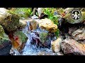 Babbling Mountain Stream. Sounds of Nature for Rest and Sleep.