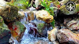 Listen to the relaxing sounds of nature. bubbling mountain stream is
perfect for and quality sleep. location: russia, sochi, khostinsky
district...