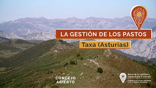 LA GESTIÓN DE LOS PASTOS. (Taxa. Asturias). Caminos del buen gobierno y la buena vecindad.