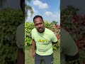 Angry राम परवडत नव्हता, म्हणून angry श्याम घेऊन आलाय सगळ्यांसाठी एक खास आमंत्रण #BhaDiPa