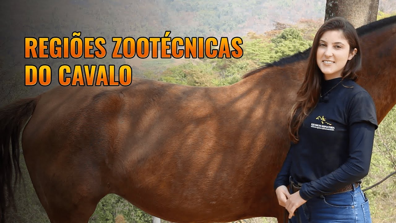 Regiões Zootécnicas do Cavalo