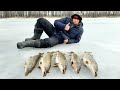 Пузатые Щуки по Последнему Льду.Рыбалка в Башкирии.Река Белая.