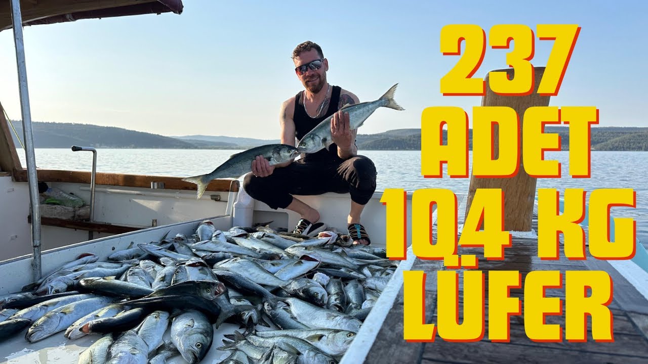 237 ADET 104 KG LÜFER YAKALADIK İNANILMAZ  !!!!  Canlı Yem İle At Çek Lüfer Kofana Avı