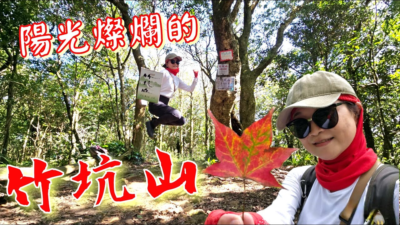 鹿母潭.竹坑山北峰.竹坑山.熊空茶園O型走全紀錄|人煙罕至的森林也孕育出了樸拙之美_1080p